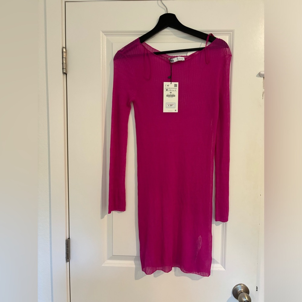 NWT Sheer Zara Dress